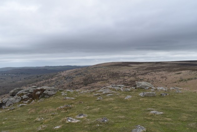 Hound Tor 6