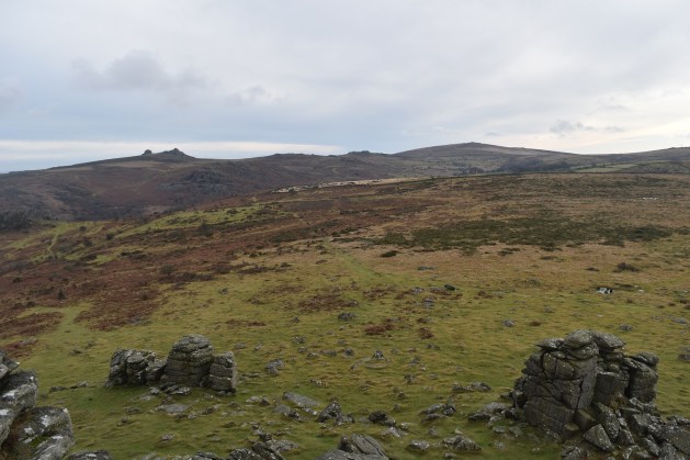 hound-tor-manaton-10