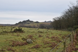 hound-tor-manaton-7