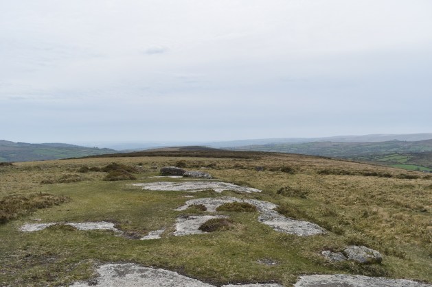 Langworthy Tor 1