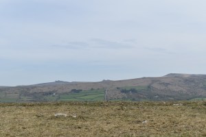 Langworthy Tor 2