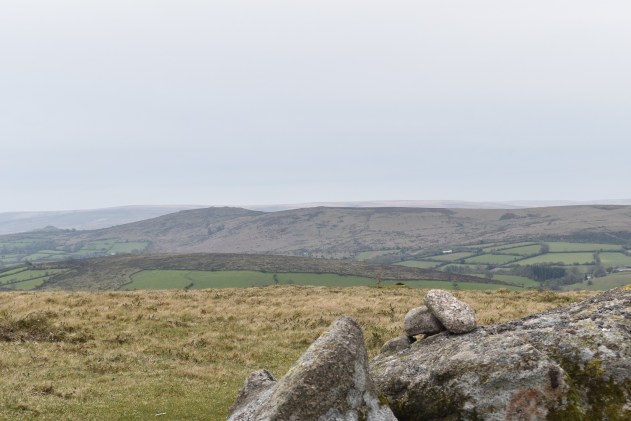 Langworthy Tor 4