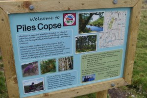 Piles Copse 2