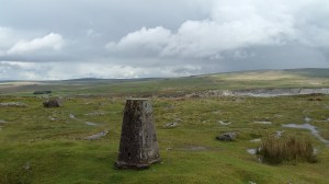 Saddlesborough 2