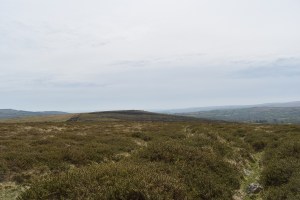 Wind Tor 1