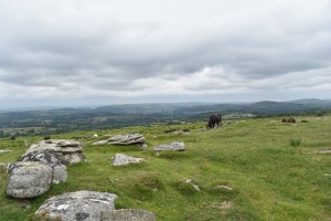 Buttern Hill 2