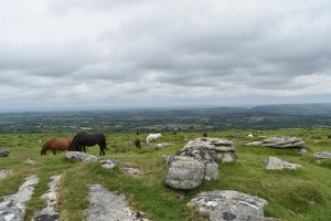 Buttern Hill 4