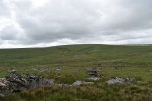 Calverslake Tor 1