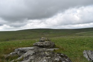 Little Gnats Head 1