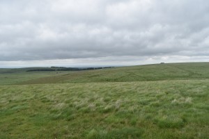 Stone Tor 2