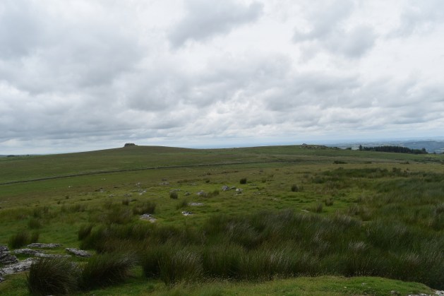 Thornworthy Tor 3