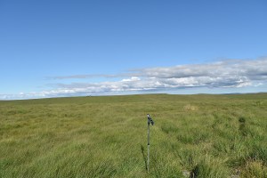 Maiden Hill 1