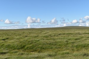 Maiden Hill 2