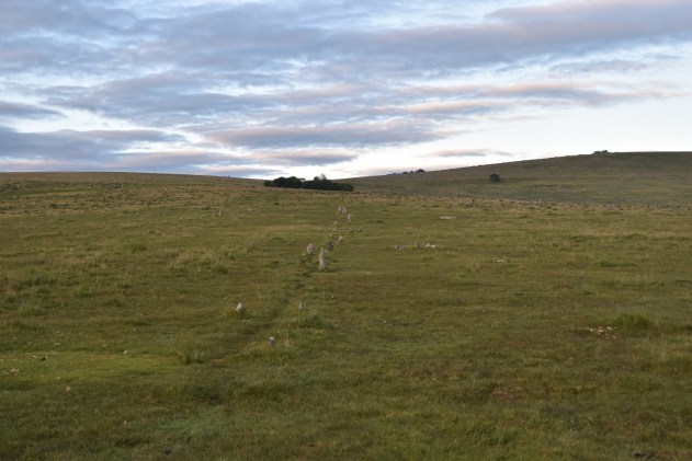 Merrivale Stone Circle 4