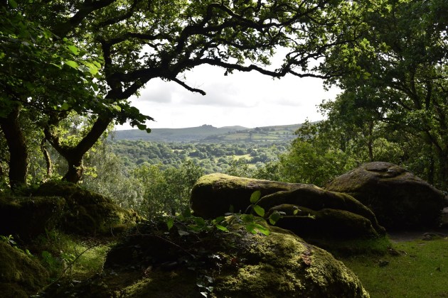 Sharpitor (Lustleigh) 3