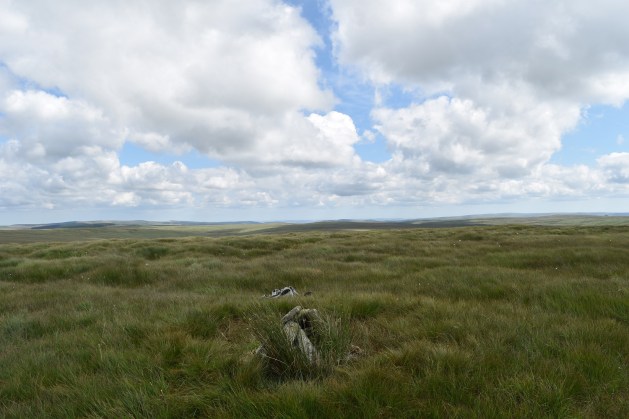 Black Hill (cranmere) 2