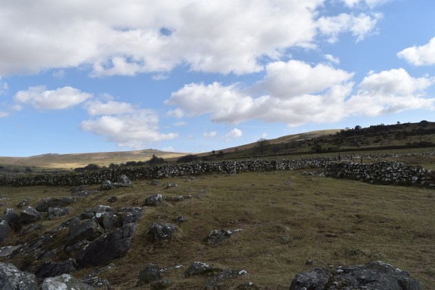 Great Combe Tor 1