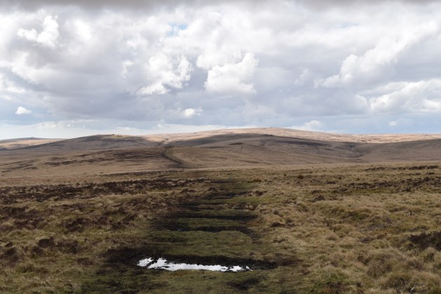 Little Hound Tor 1