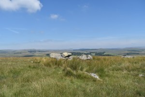 Royal Hill 1