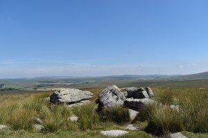 Royal Hill 2