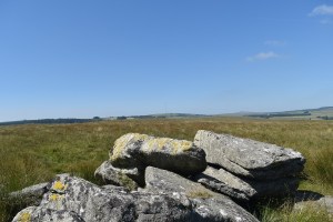 Royal Hill 3