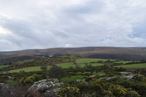 bel-tor-2