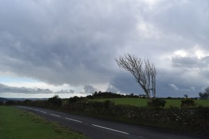 bel-tor-3