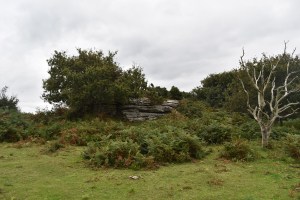 blackadon-tor-1