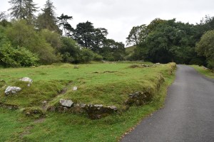 brentmoor-house-1