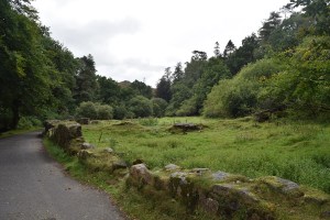brentmoor-house-2