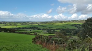 callisham-tor-1