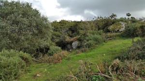 callisham-tor-2