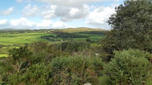 callisham-tor-3