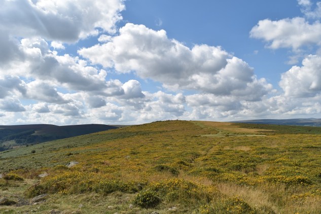 Easdon Tor 4