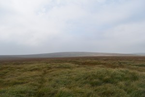 Flat Tor 2