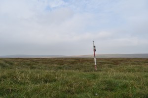 Flat Tor 3