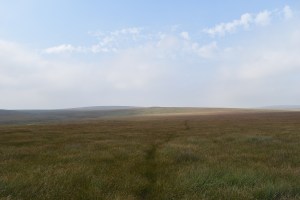 Flat Tor 4