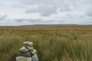 green-hill-2