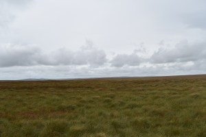 green-hill-3