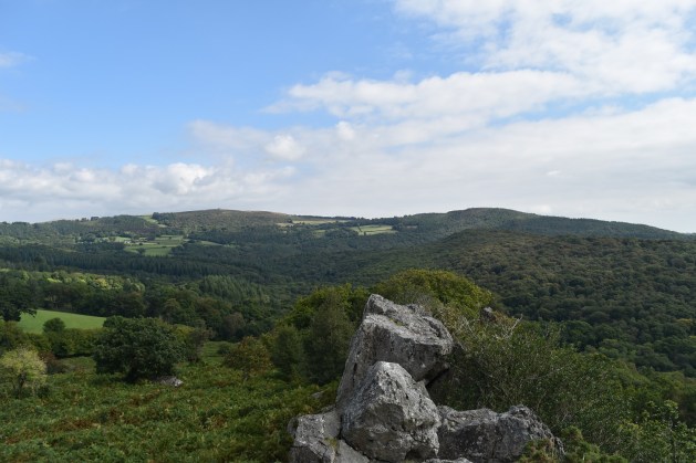 leigh-tor-1