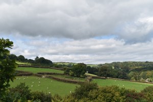 leigh-tor-2