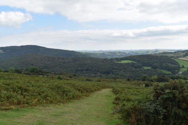 leigh-tor-5