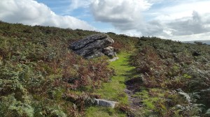 shovel-stone-1