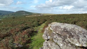 shovel-stone-2