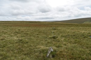 staldon-stone-row-and-circle-1