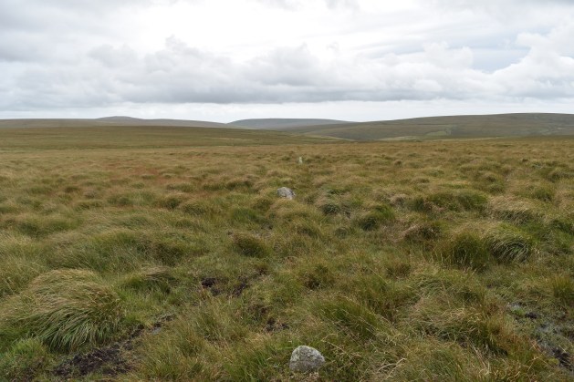 staldon-stone-row-and-circle-3