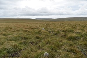 staldon-stone-row-and-circle-3