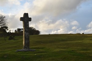 cadover-cross-3