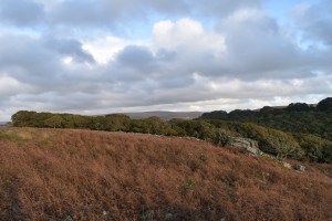cadworthy-tor-2