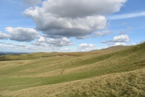shelstone-tor-1